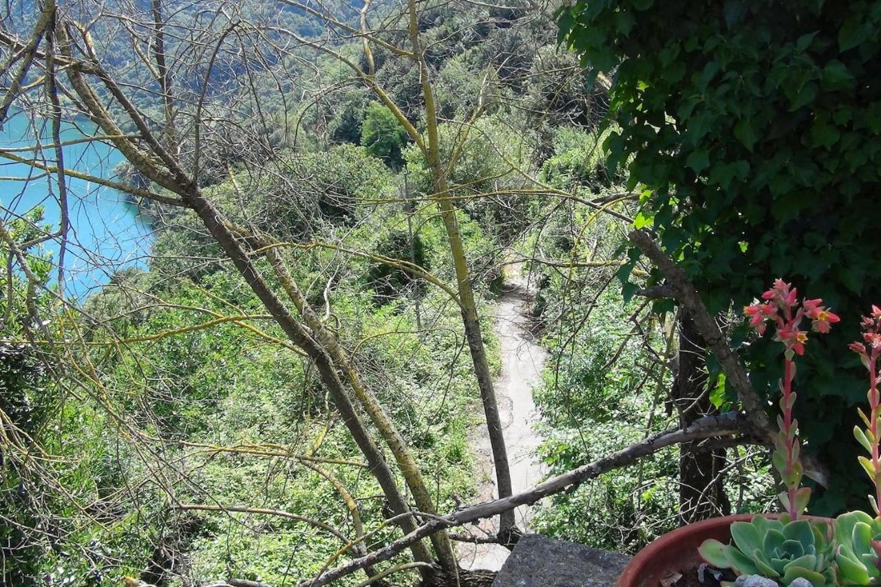 דירות ג'נצאנו די רומא Relax Sul Lago מראה חיצוני תמונה